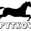 KOPYTKOWO