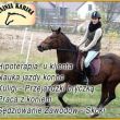 Stajnia Karina