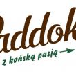 Sklep i outlet stacjonarny - internetowy