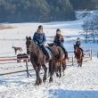 STAJNIA ISKRA ZAPRASZA NA NAJLEPSZE FERIE W SIODLE 2018