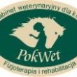 Gabinet Weterynaryjny dla koni 