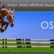 OSTROGA.pl