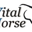 Vital Horse