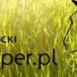 www.Galloper.pl