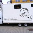 Profesjonalny transport koni 
