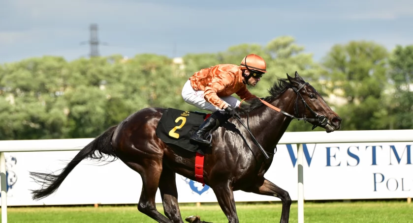 Zdjęcie Urszula Chromik - fotografia