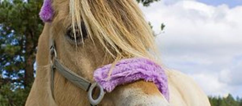Zdjęcie Greta Wilczyńska - fotografia