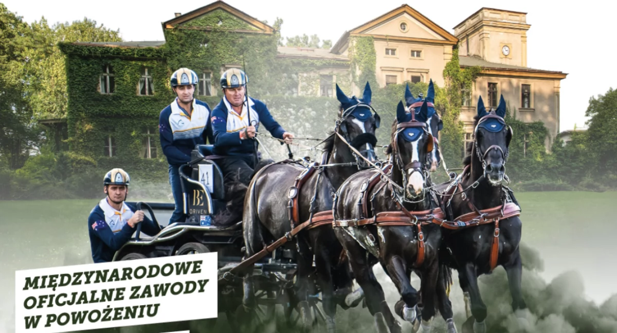 equestrian.baborowko.pl 