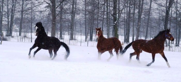 Zdjęcie Malwina  - fotografia