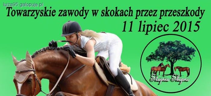 Zdjęcie LUIZA SKIBIŃSKA - fotografia