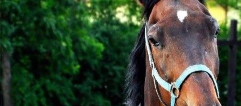 Zdjęcie Monika Sieklicka - fotografia