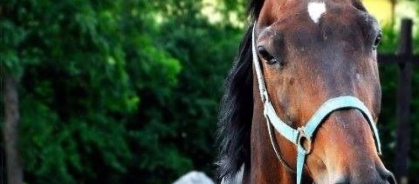 Zdjęcie Monika Sieklicka - fotografia