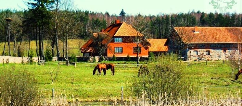 Zdjęcie Łukasz Poddębski - fotografia