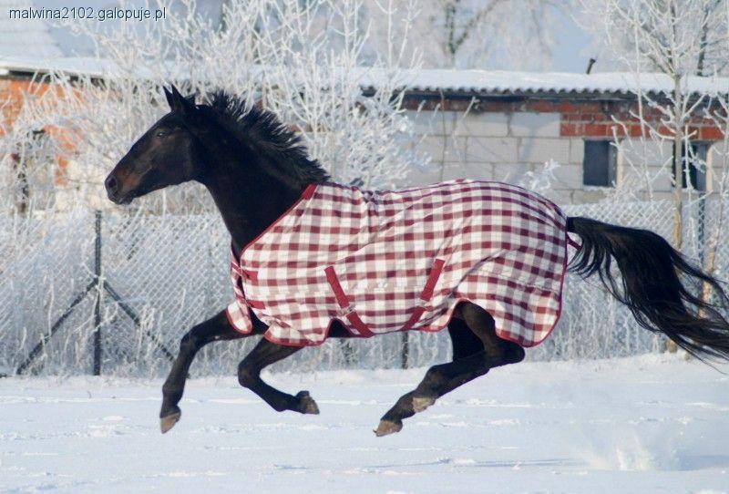 Zdjęcie Malwina  - fotografia