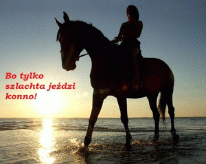 Zdjęcie Julia Mrozek - fotografia