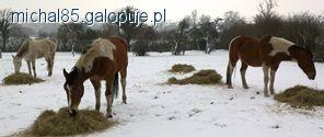 Zdjęcie Michał  - fotografia