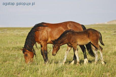 Zdjęcie Agata P - fotografia