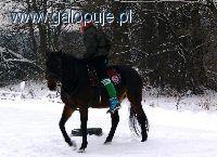 Zdjęcie Agata P - fotografia