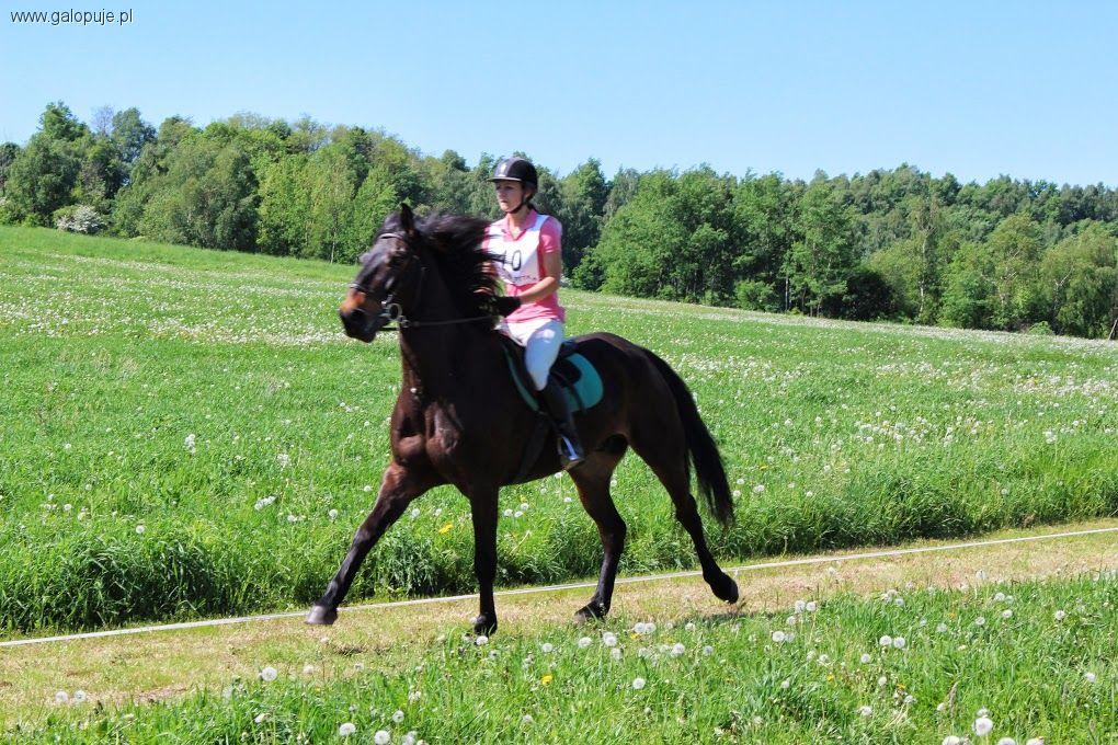 Zdjęcie Anna Pęgiel Korfel - fotografia
