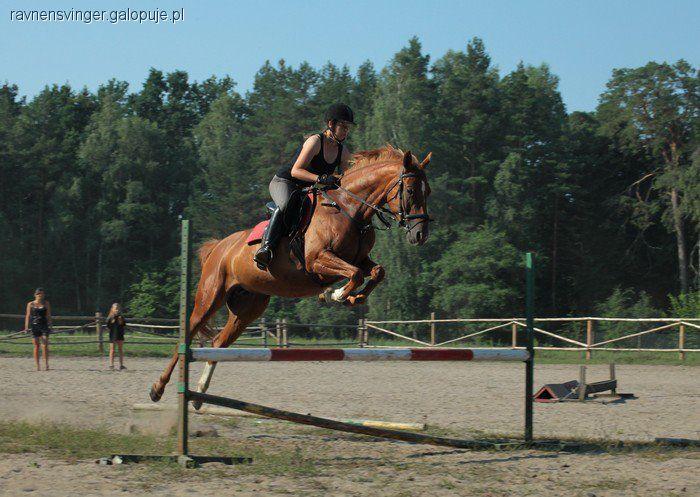 Zdjęcie nesebor  - fotografia