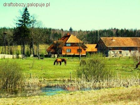 Zdjęcie Łukasz Poddębski - fotografia