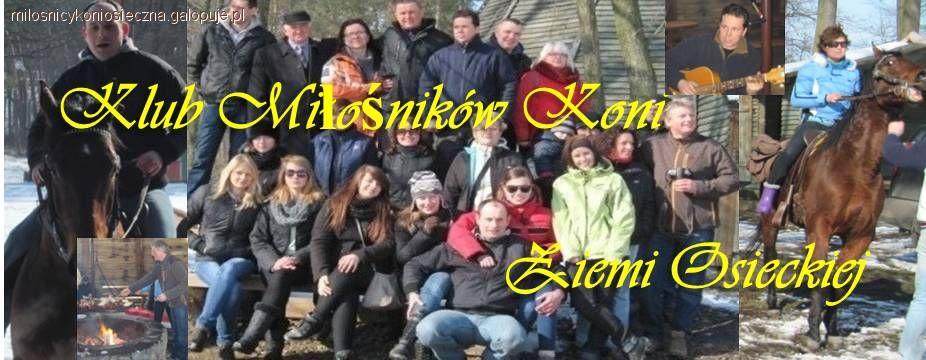 Zdjęcie Robert Lester - fotografia