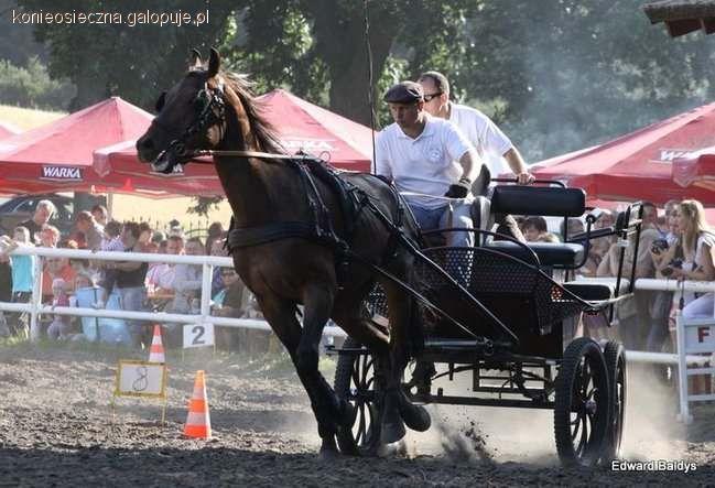 Zdjęcie Robert Lester - fotografia