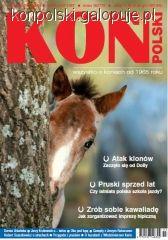 Zdjęcie Koń Polski - fotografia