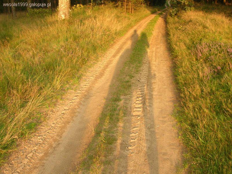 Zdjęcie Ola Wesołowska - fotografia