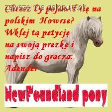 Zdjęcie Ilona  - fotografia