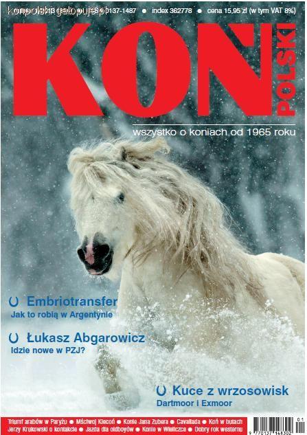 Zdjęcie Koń Polski - fotografia