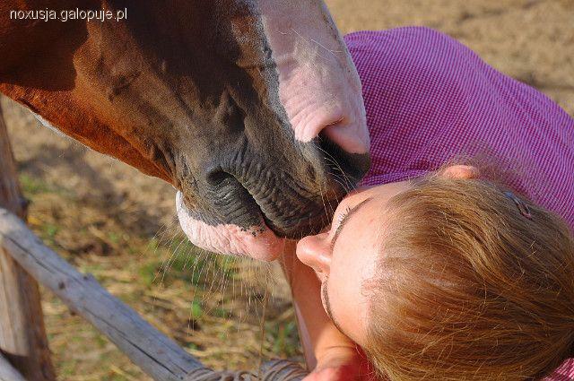 Zdjęcie Daria Hejnowska - fotografia