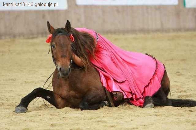Zdjęcie Kamila  Curyło  - fotografia