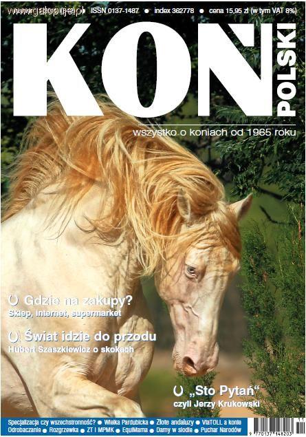 Zdjęcie Koń Polski - fotografia