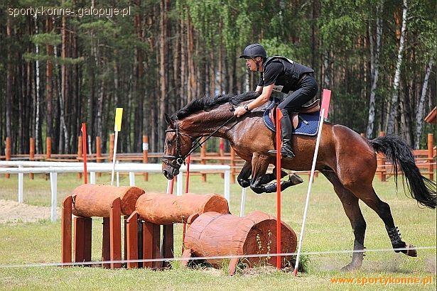 Zdjęcie Tomasz  - fotografia