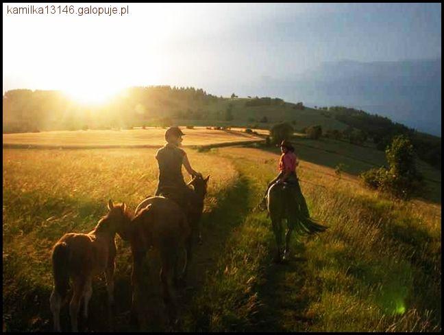 Zdjęcie Kamila  Curyło  - fotografia