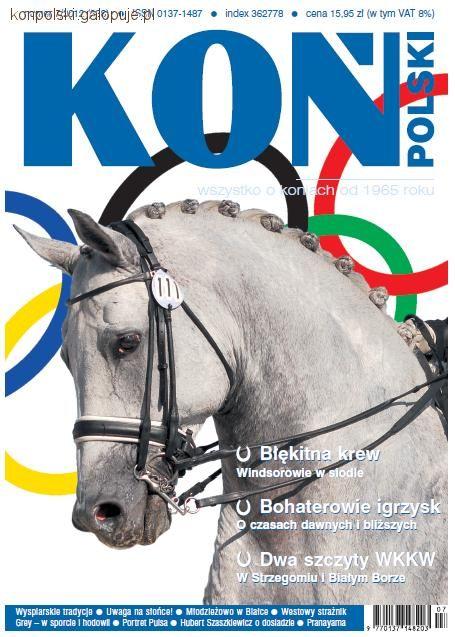 Zdjęcie Koń Polski - fotografia