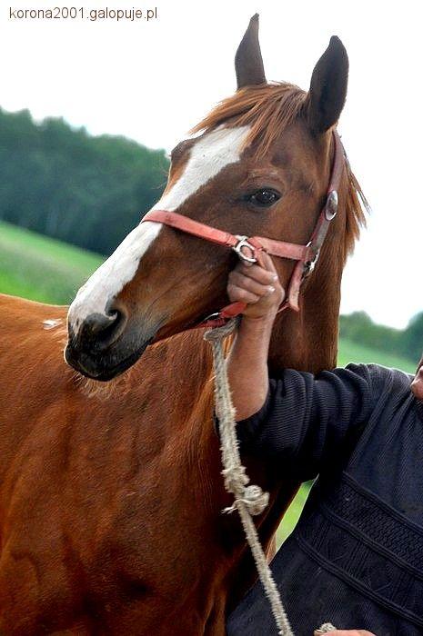Zdjęcie Ania  - fotografia