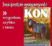 Zdjęcie Koń Polski - fotografia