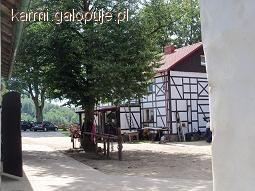 Zdjęcie Julia Dróżdż - fotografia