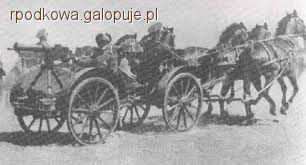 Zdjęcie Dominika Pala - fotografia