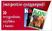 Zdjęcie Koń Polski - fotografia