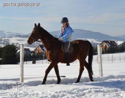 Zdjęcie Gosia Abram - fotografia