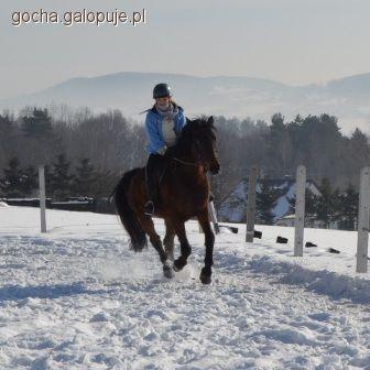 Zdjęcie Gosia Abram - fotografia