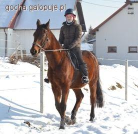 Zdjęcie Gosia Abram - fotografia