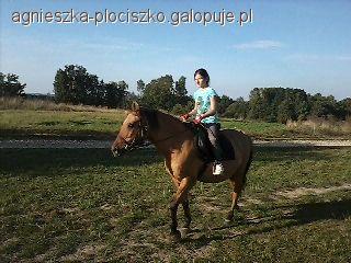 Zdjęcie Agnieszka Płociszko - fotografia