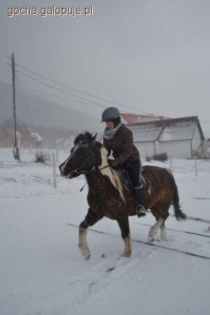 Zdjęcie Gosia Abram - fotografia