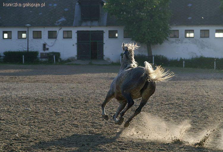 Zdjęcie Oliwia Czerwińska - fotografia