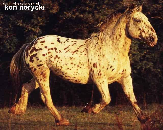 Zdjęcie Agata ... - fotografia