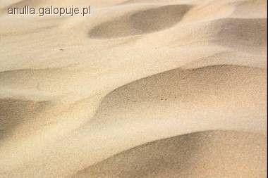 Zdjęcie Anna Pietraszewska - fotografia